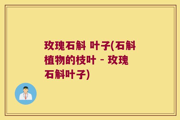 玫瑰石斛 叶子(石斛植物的枝叶 - 玫瑰石斛叶子) 玫瑰石斛 叶子(石斛植物的枝叶 - 玫瑰石斛叶子)