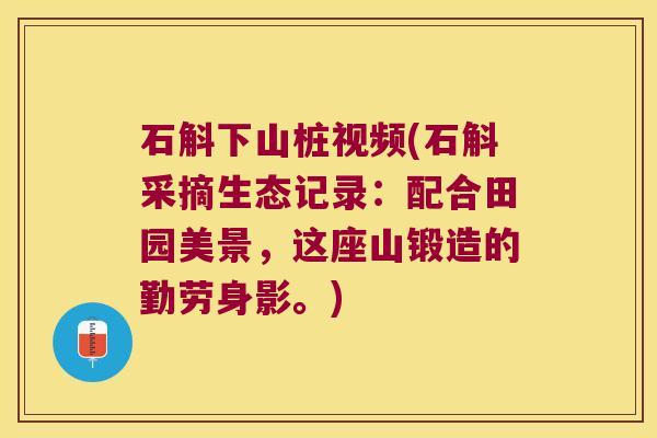 石斛下山桩视频(石斛采摘生态记录：配合田园美景，这座山锻造的勤劳身影。)