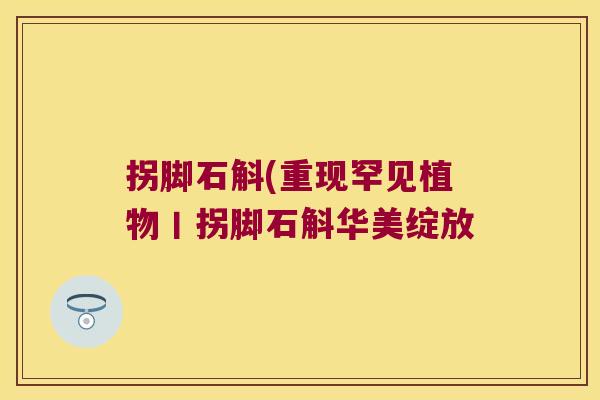 拐脚石斛(重现罕见植物丨拐脚石斛华美绽放