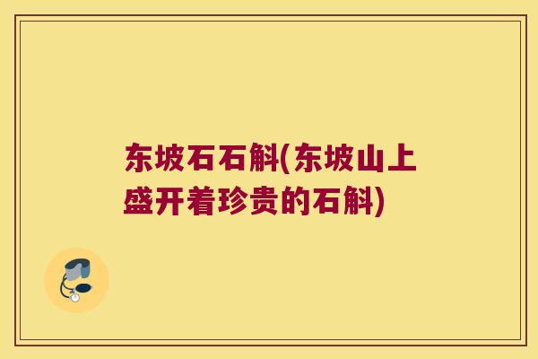 东坡石石斛(东坡山上盛开着珍贵的石斛) 东坡石石斛(东坡山上盛开着珍贵的石斛)