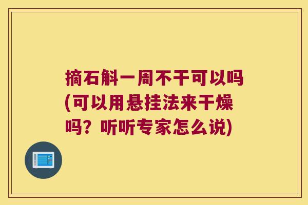 摘石斛一周不干可以吗(可以用悬挂法来干燥吗？听听专家怎么说)