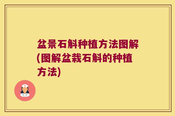 盆景石斛种植方法图解(图解盆栽石斛的种植方法)