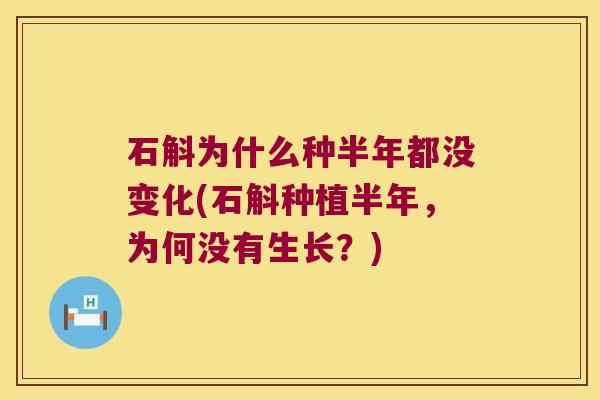 石斛为什么种半年都没变化(石斛种植半年，为何没有生长？)