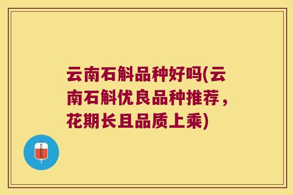 云南石斛品种好吗(云南石斛优良品种推荐，花期长且品质上乘)