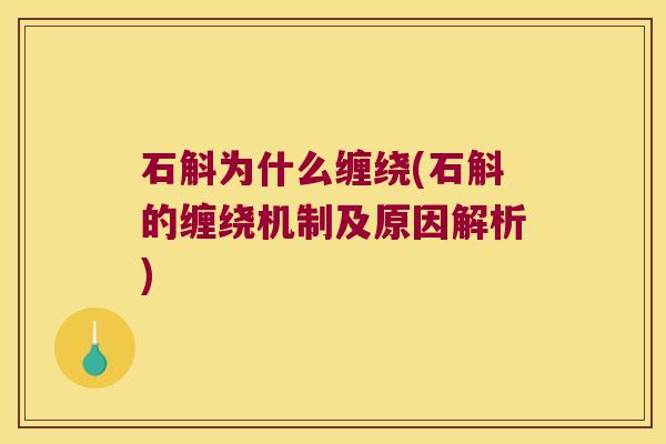 石斛为什么缠绕(石斛的缠绕机制及原因解析)