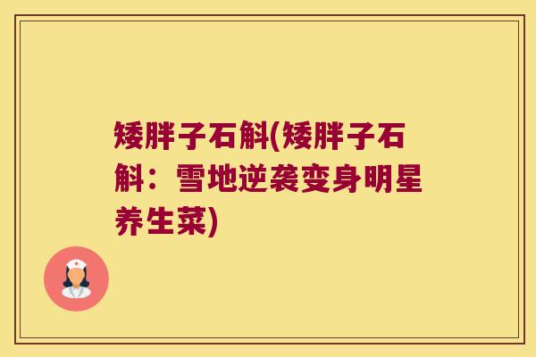 矮胖子石斛(矮胖子石斛：雪地逆袭变身明星养生菜)
