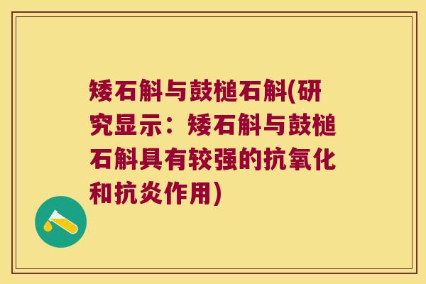 矮石斛与鼓槌石斛(研究显示：矮石斛与鼓槌石斛具有较强的和作用)