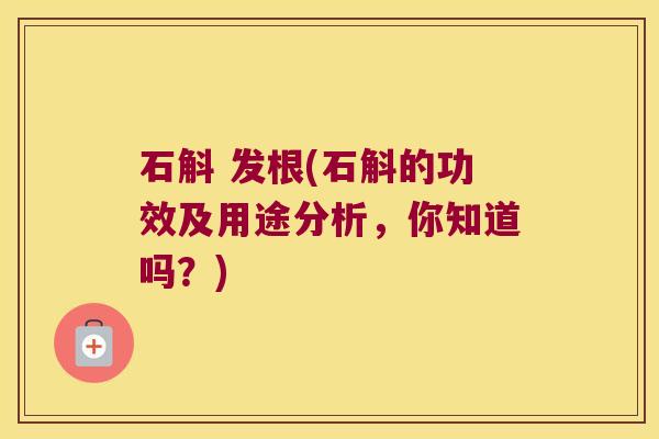 石斛 发根(石斛的功效及用途分析，你知道吗？)