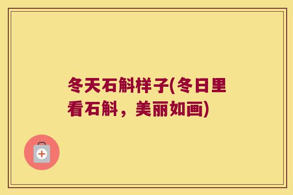 冬天石斛样子(冬日里看石斛，美丽如画)