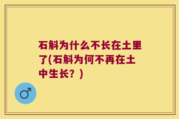 石斛为什么不长在土里了(石斛为何不再在土中生长？)