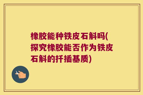 橡胶能种铁皮石斛吗(探究橡胶能否作为铁皮石斛的扦插基质) 橡胶能种铁皮石斛吗(探究橡胶能否作为铁皮石斛的扦插基质)