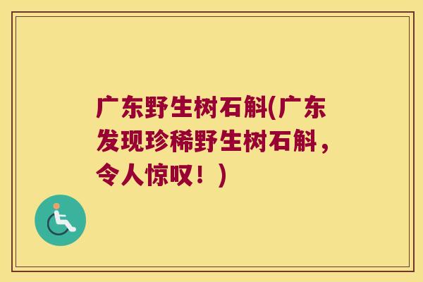 广东野生树石斛(广东发现珍稀野生树石斛，令人惊叹！)