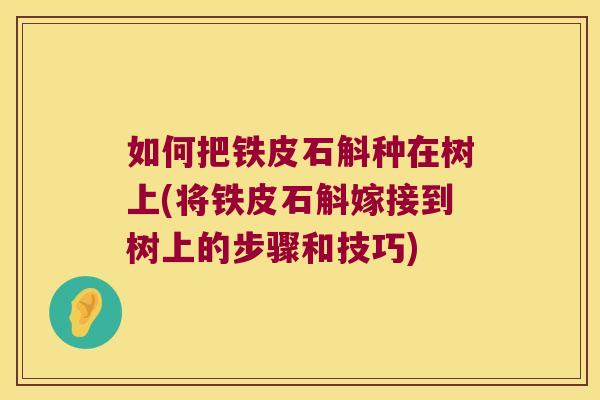 如何把铁皮石斛种在树上(将铁皮石斛嫁接到树上的步骤和技巧)