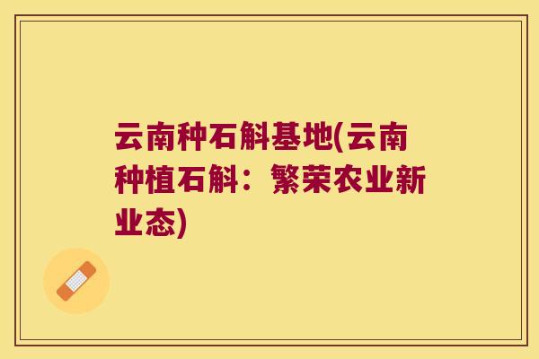 云南种石斛基地(云南种植石斛：繁荣农业新业态)