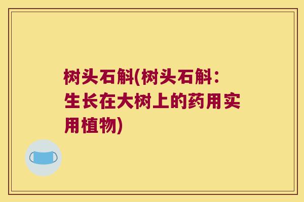 树头石斛(树头石斛：生长在大树上的药用实用植物)