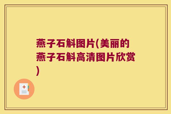 燕子石斛图片(美丽的燕子石斛高清图片欣赏)