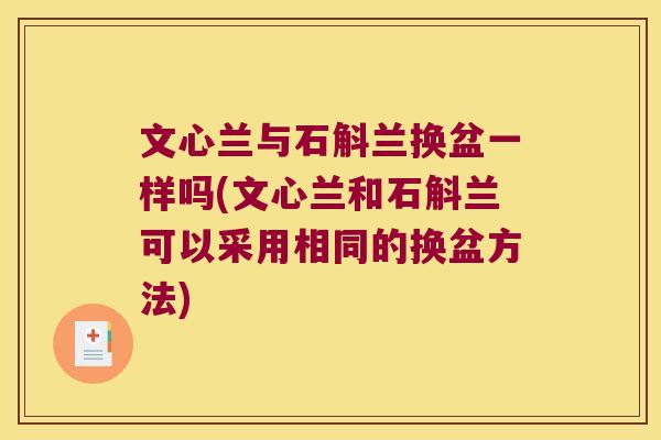 文心兰与石斛兰换盆一样吗(文心兰和石斛兰可以采用相同的换盆方法)