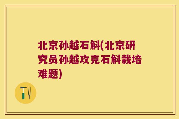 北京孙越石斛(北京研究员孙越攻克石斛栽培难题)