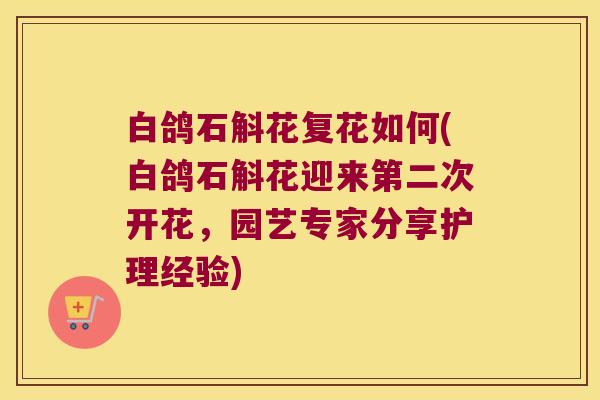 白鸽石斛花复花如何(白鸽石斛花迎来第二次开花，园艺专家分享护理经验)