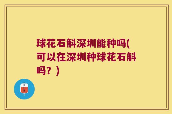 球花石斛深圳能种吗(可以在深圳种球花石斛吗？)