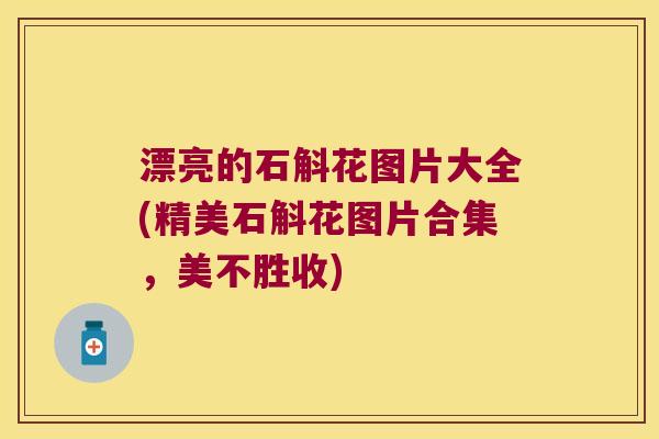 漂亮的石斛花图片大全(精美石斛花图片合集，美不胜收)