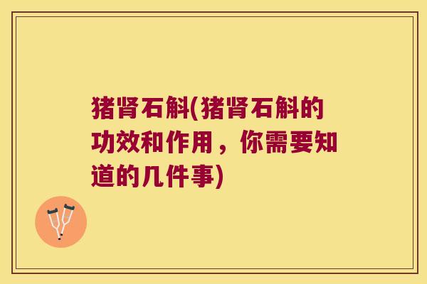 猪肾石斛(猪肾石斛的功效和作用，你需要知道的几件事)
