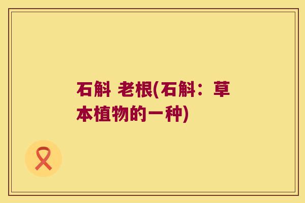 石斛 老根(石斛：草本植物的一种)