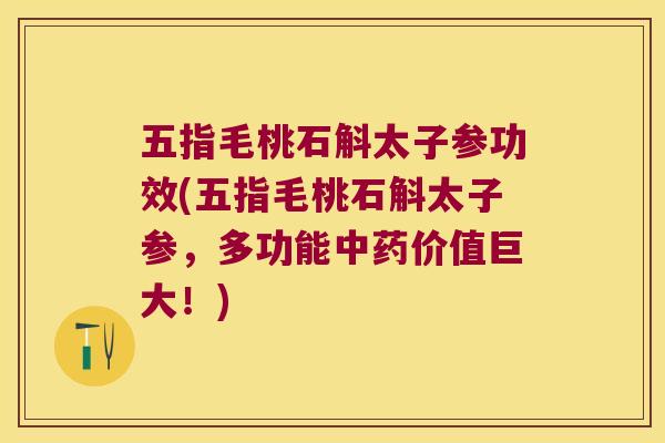 五指毛桃石斛太子参功效(五指毛桃石斛太子参，多功能中药价值巨大！)