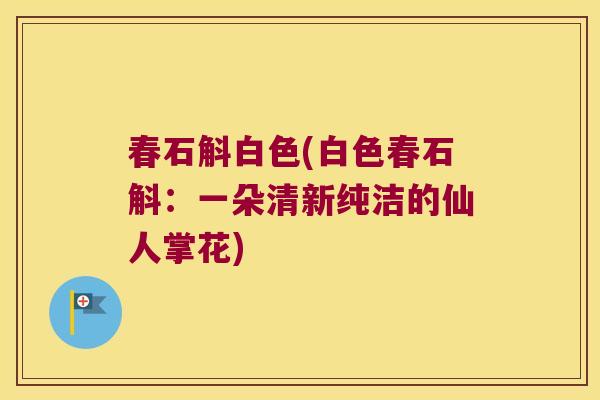 春石斛白色(白色春石斛：一朵清新纯洁的仙人掌花)
