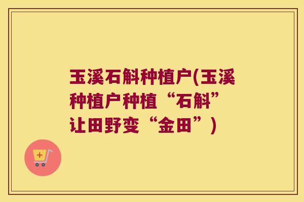 玉溪石斛种植户(玉溪种植户种植“石斛” 让田野变“金田”)