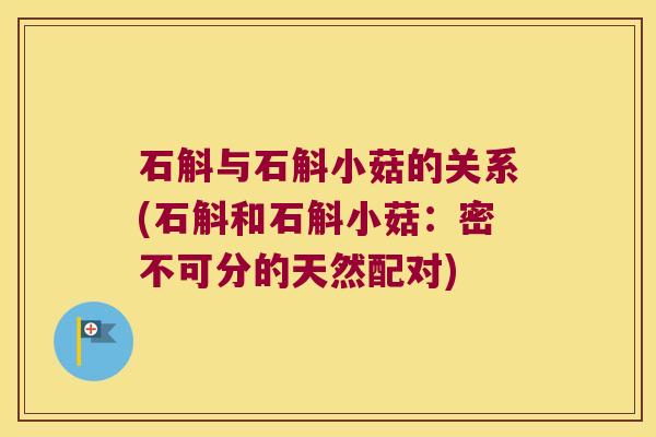 石斛与石斛小菇的关系(石斛和石斛小菇：密不可分的天然配对)