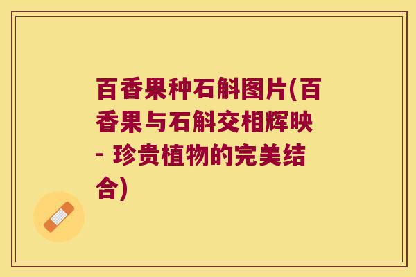 百香果种石斛图片(百香果与石斛交相辉映 - 珍贵植物的完美结合)