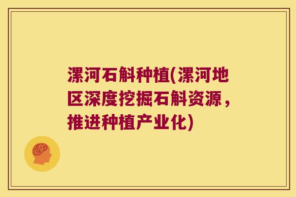 漯河石斛种植(漯河地区深度挖掘石斛资源，推进种植产业化)