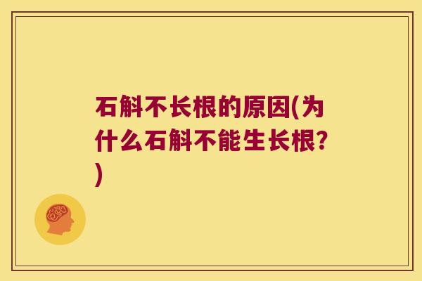 石斛不长根的原因(为什么石斛不能生长根？)