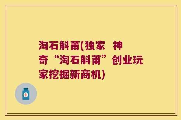淘石斛莆(独家  神奇“淘石斛莆”创业玩家挖掘新商机)