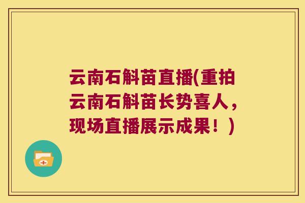 云南石斛苗直播(重拍云南石斛苗长势喜人，现场直播展示成果！)