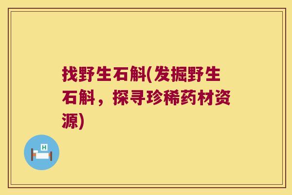 找野生石斛(发掘野生石斛，探寻珍稀药材资源)