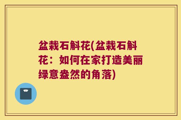 盆栽石斛花(盆栽石斛花：如何在家打造美丽绿意盎然的角落)