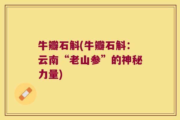 牛瓣石斛(牛瓣石斛：云南“老山参”的神秘力量)