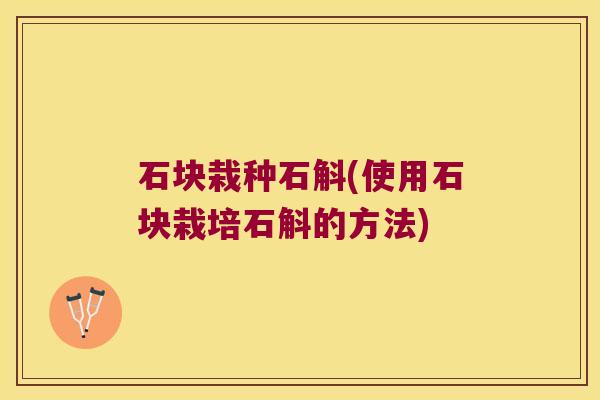 石块栽种石斛(使用石块栽培石斛的方法)