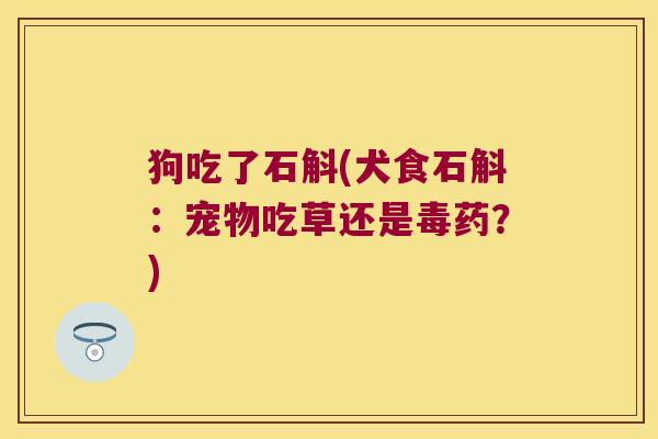 狗吃了石斛(犬食石斛：宠物吃草还是毒药？)