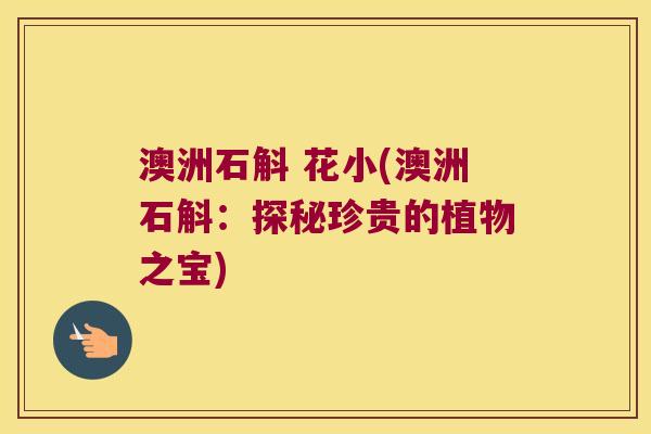 澳洲石斛 花小(澳洲石斛：探秘珍贵的植物之宝)