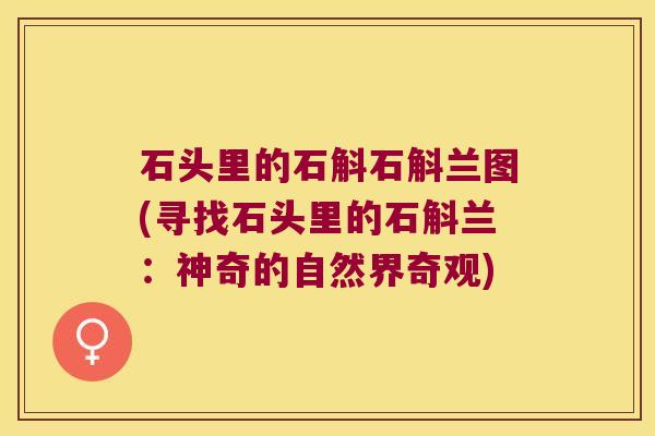 石头里的石斛石斛兰图(寻找石头里的石斛兰：神奇的自然界奇观)