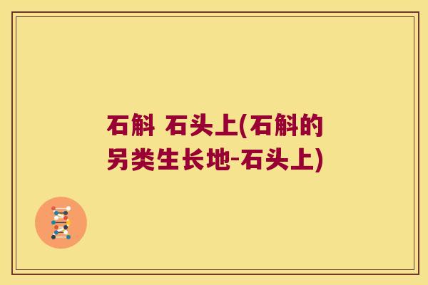 石斛 石头上(石斛的另类生长地-石头上)