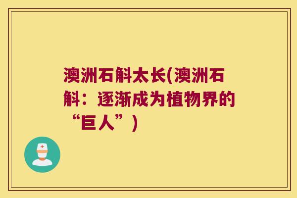 澳洲石斛太长(澳洲石斛:逐渐成为植物界的“巨人”) 澳洲石斛太长(澳洲石斛:逐渐成为植物界的“巨人”)