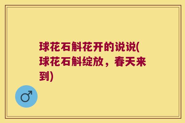 球花石斛花开的说说(球花石斛绽放，春天来到)