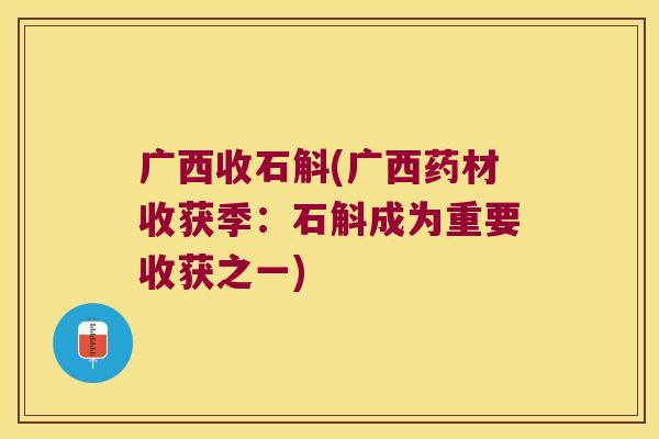 广西收石斛(广西药材收获季：石斛成为重要收获之一)