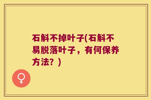 石斛不掉叶子(石斛不易脱落叶子，有何保养方法？)