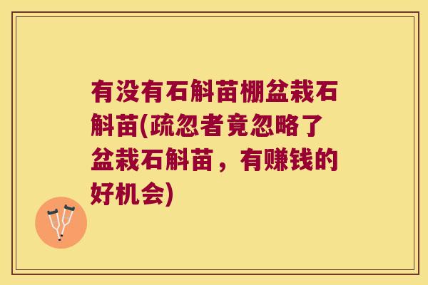 有没有石斛苗棚盆栽石斛苗(疏忽者竟忽略了盆栽石斛苗，有赚钱的好机会)