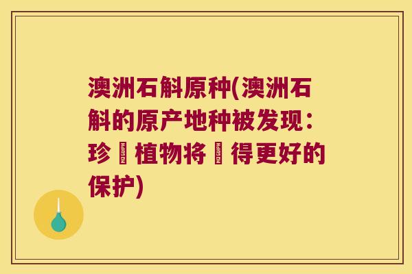 澳洲石斛原种(澳洲石斛的原产地种被发现：珍貴植物将獲得更好的保护)